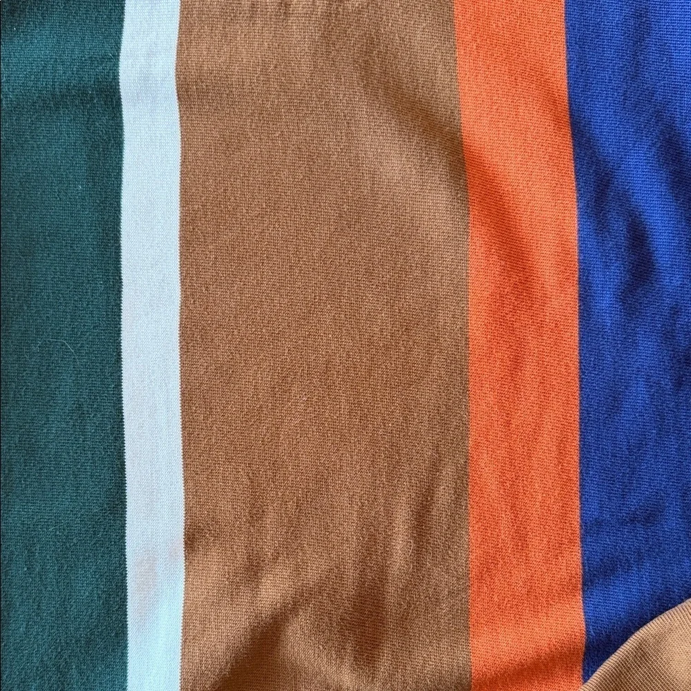 J. Crew Multicolor Striped Polo Shirt